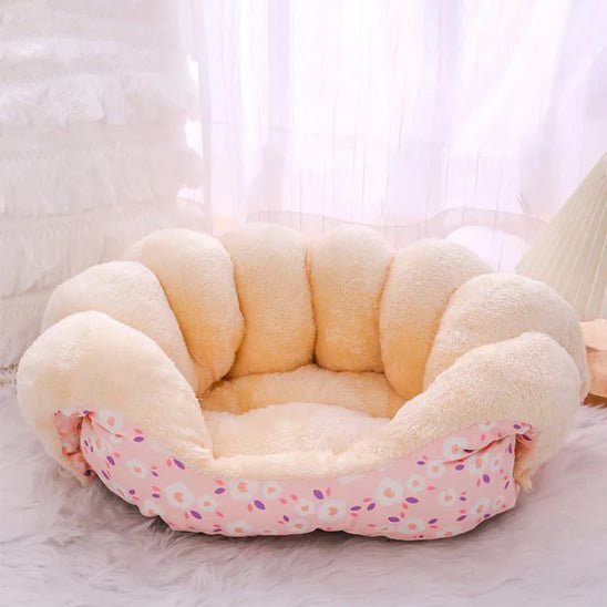 canape pour chien