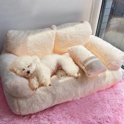 canape pour chien