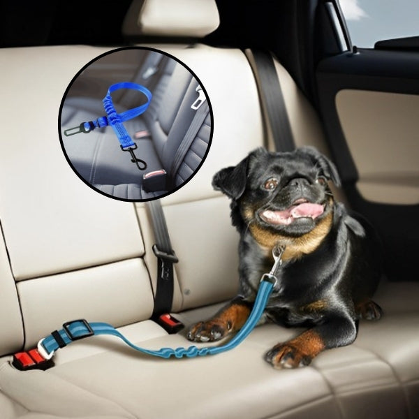 ceinture chien voiture