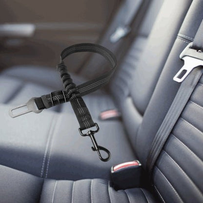 ceinture chien voiture
