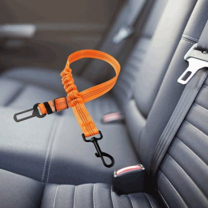 ceinture chien voiture