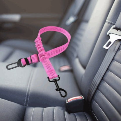 ceinture chien voiture
