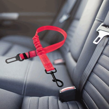ceinture chien voiture