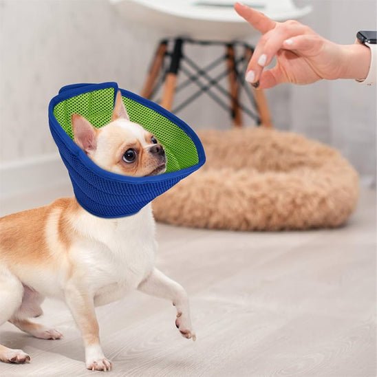 collerette chien tissu