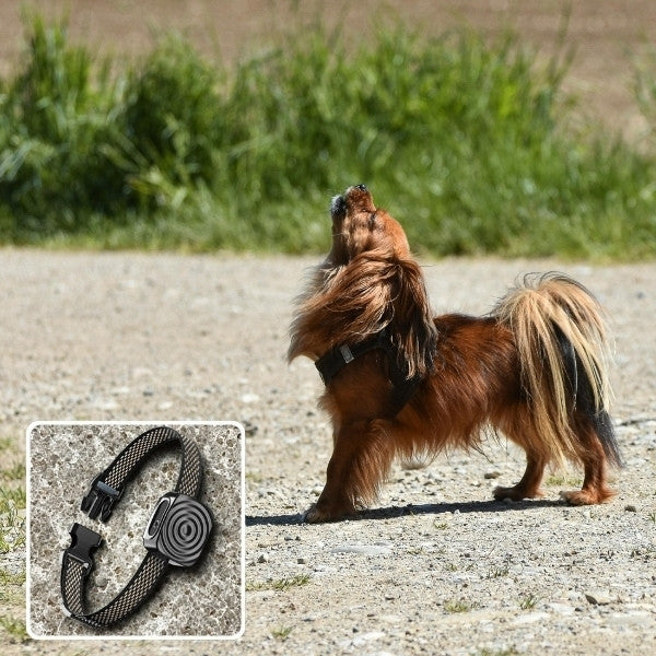 Collier de dressage pour chien | EducSafe™