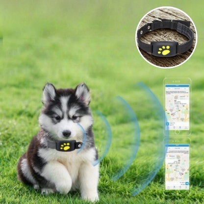 collier gps pour chien