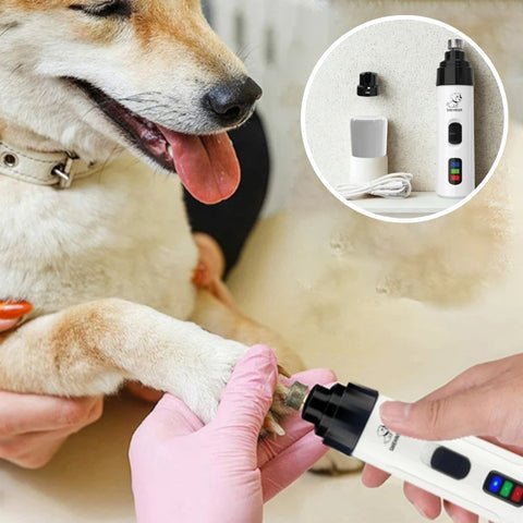coupe griffe pour chien
