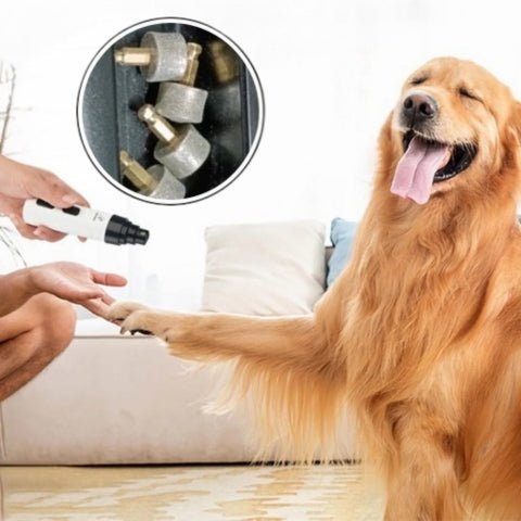 coupe griffe pour chien