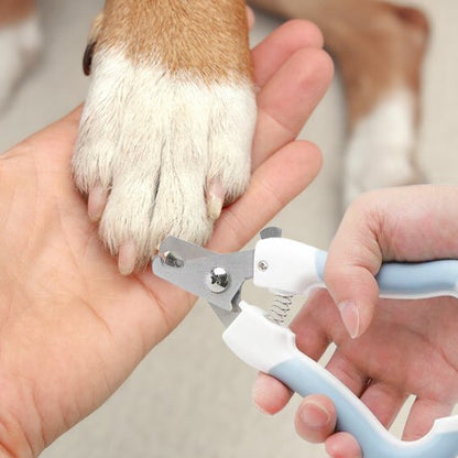 coupe griffe pour chien
