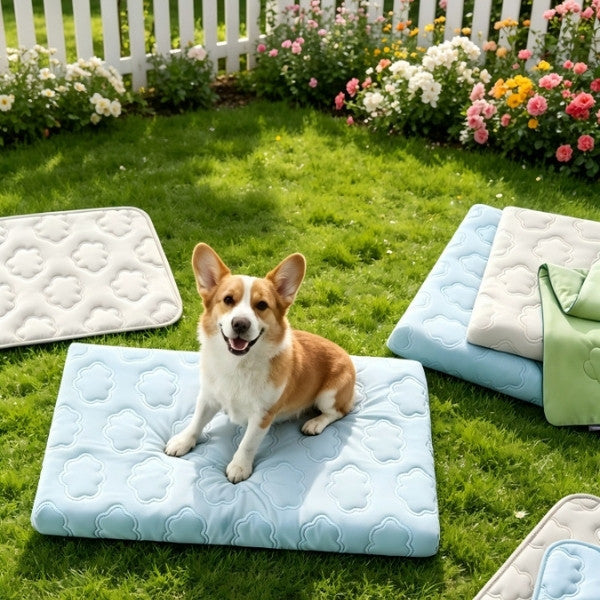 coussin rafraichissant pour chien