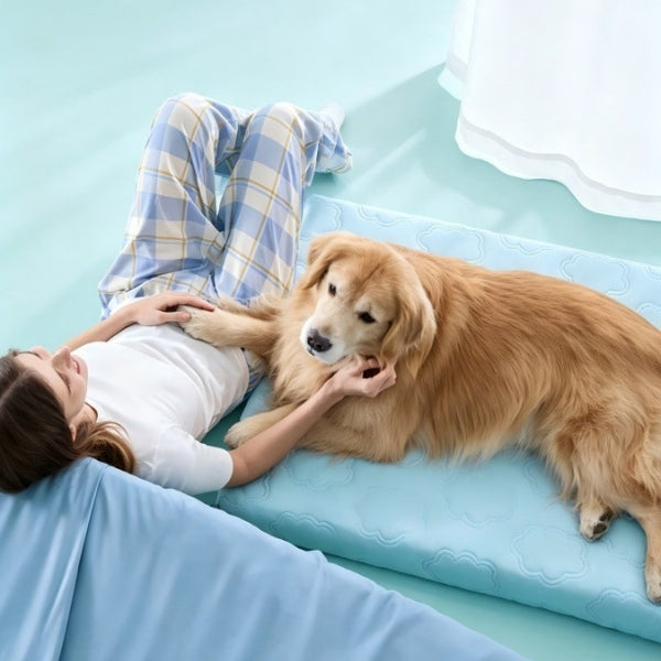 Coussin rafraichissant pour chien | NuageConfort™