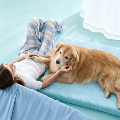 Coussin rafraichissant pour chien | NuageConfort™