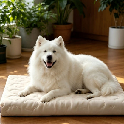 Coussin rafraichissant pour chien | NuageConfort™