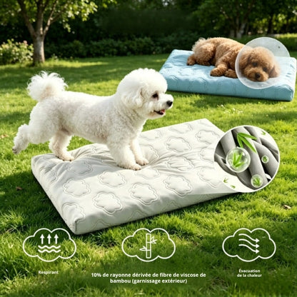 coussin rafraichissant pour chien