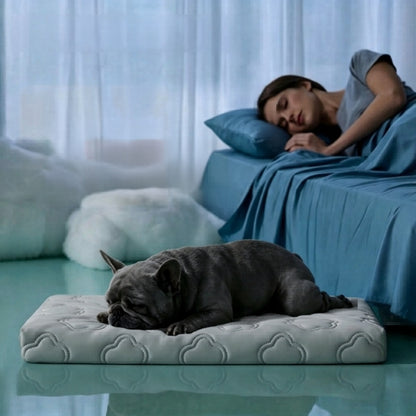 coussin rafraichissant pour chien