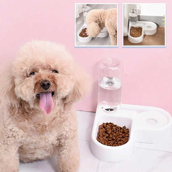 distributeur de croquettes pour chien 