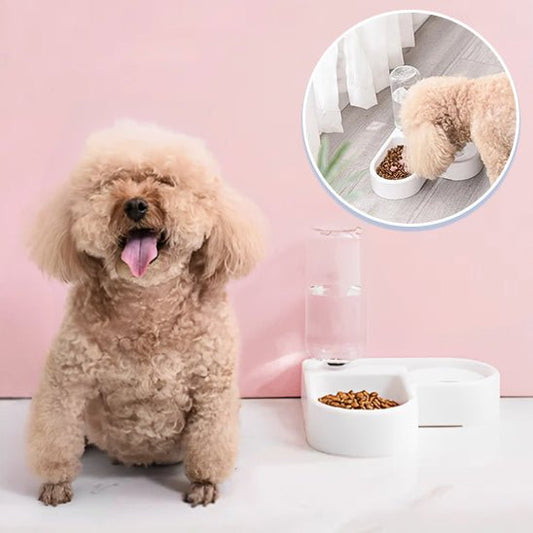 distributeur de croquettes pour chien 