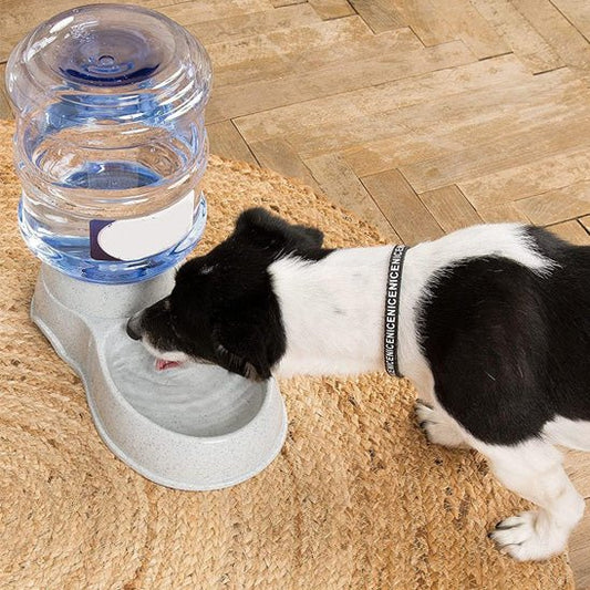 distributeur de croquettes pour chien