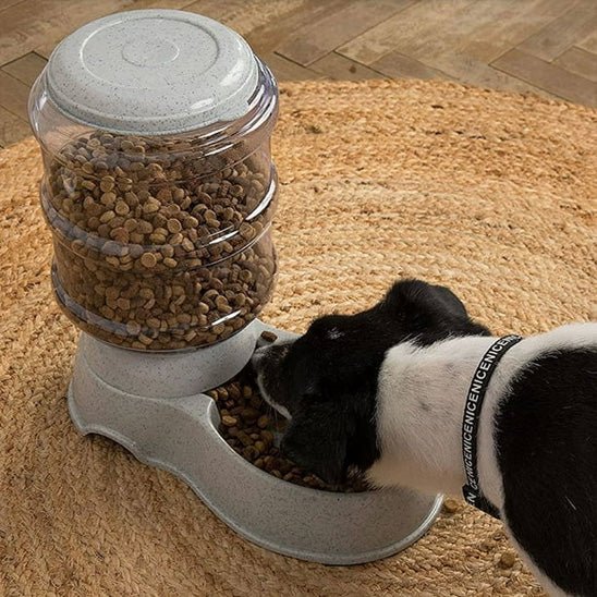 distributeur de croquettes pour chien