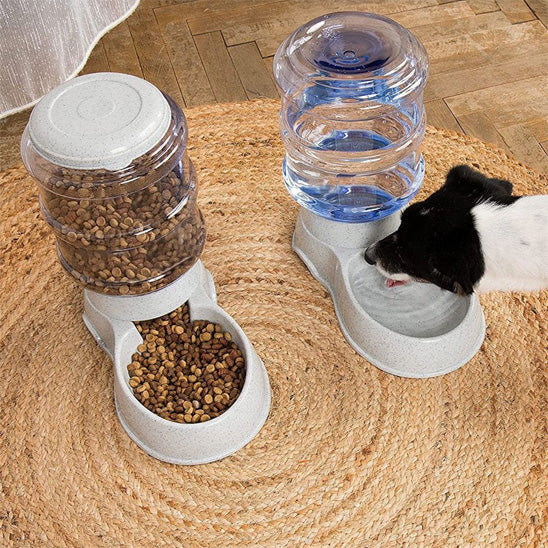 distributeur de croquettes pour chien