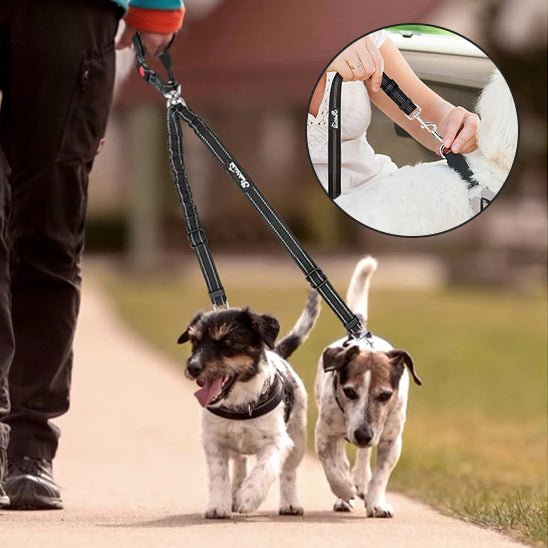 double laisse pour chien