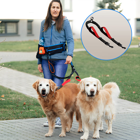 double laisse pour chien 