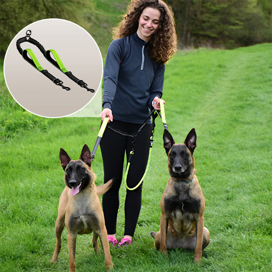 double laisse pour chien 