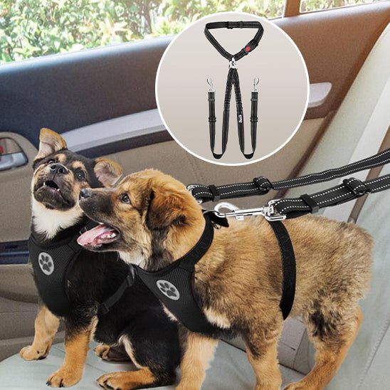 double laisse pour chien
