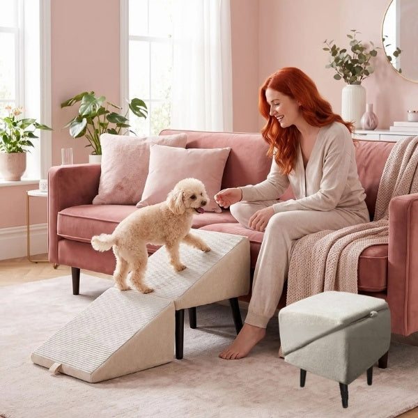 escalier pour chien