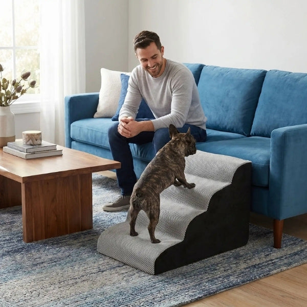 escalier pour chien