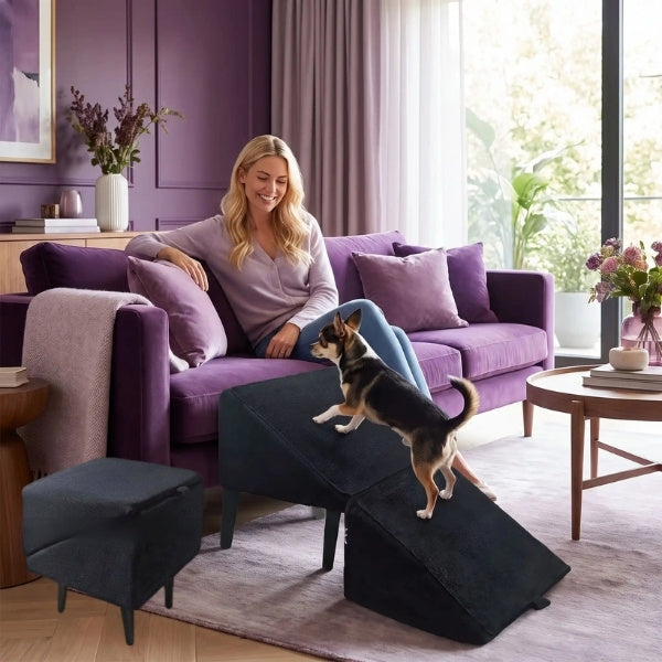 escalier pour chien