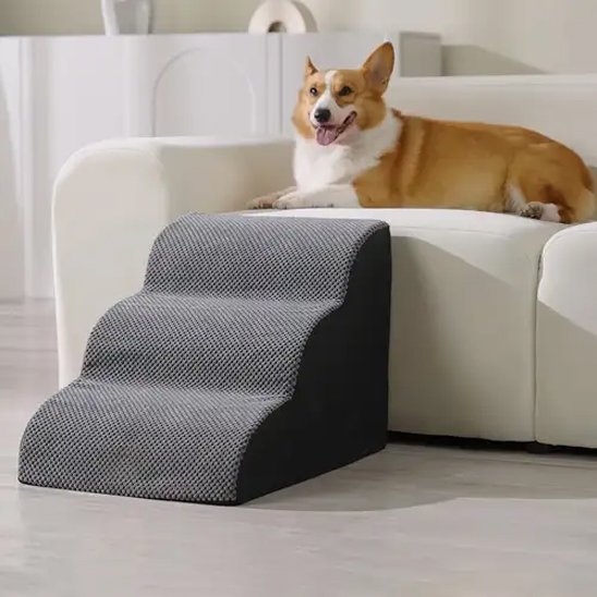 escalier pour chien