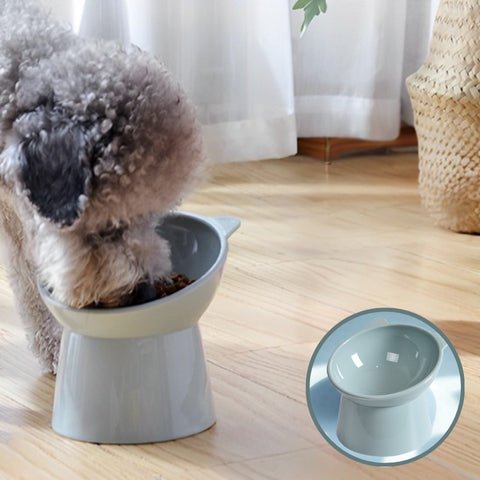 gamelle chien