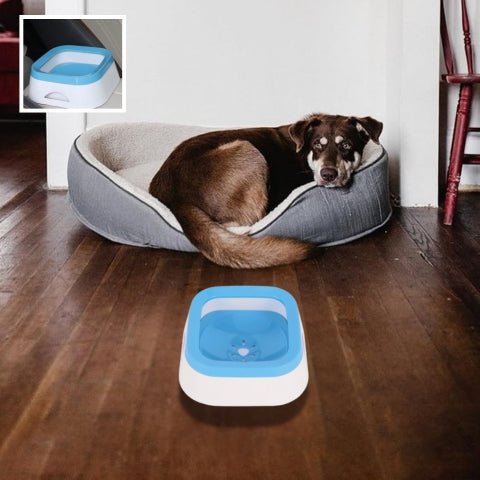 gamelle pour chien 