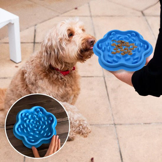 gamelle pour chien