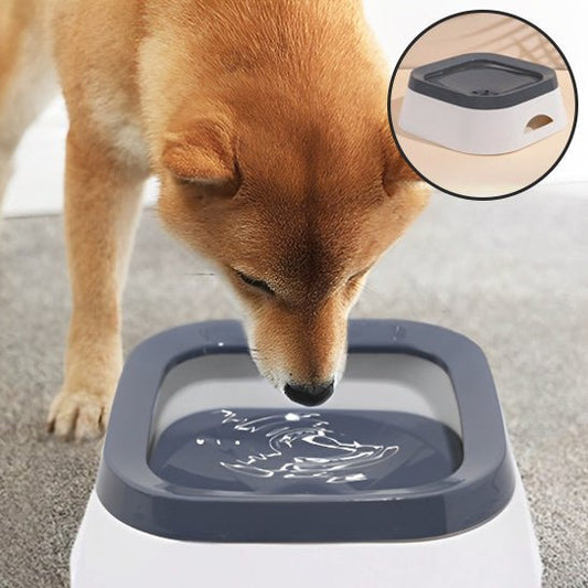 gamelle pour chien 