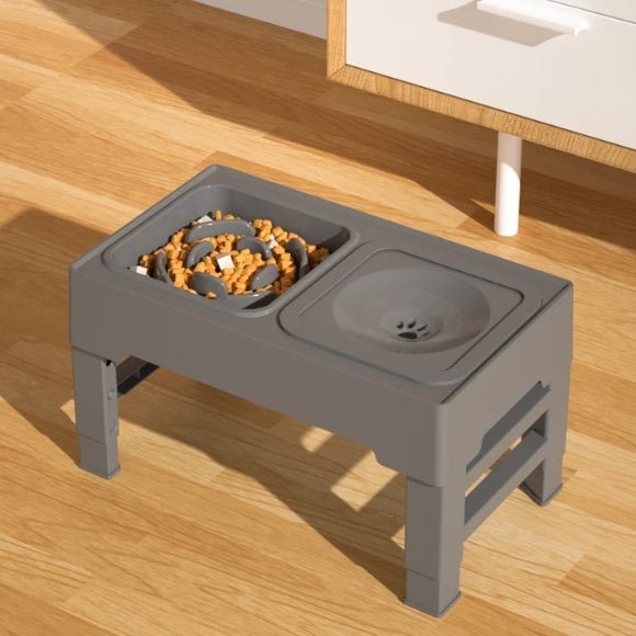 gamelle pour chien