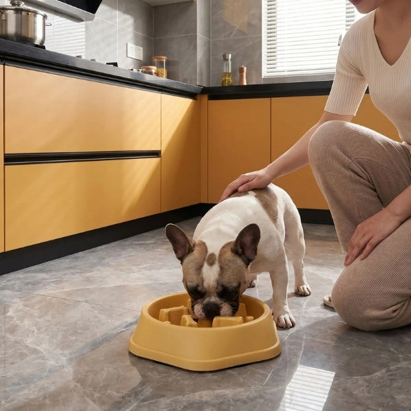 gamelle pour chien