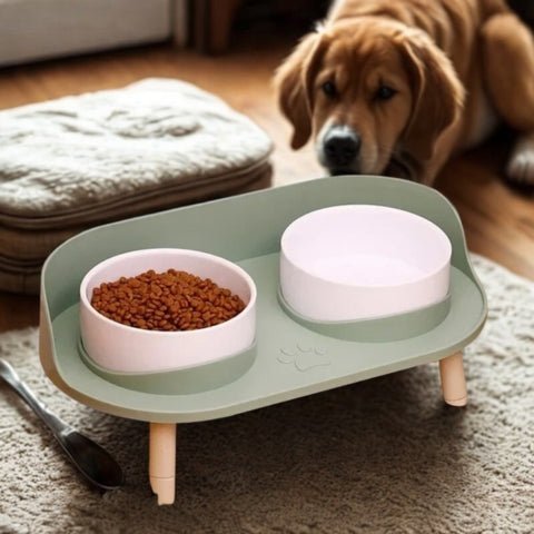 gamelle pour chien