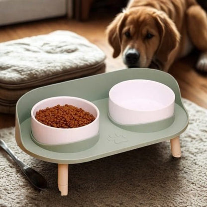 gamelle pour chien