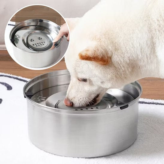 gamelle pour chien