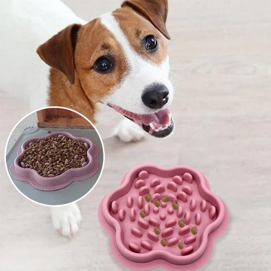gamelle pour chien