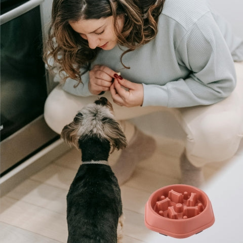gamelle-pour-chien