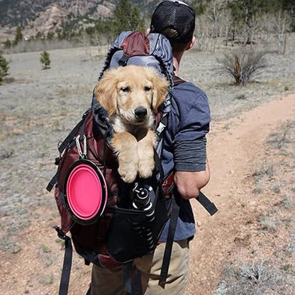 gamelle pour chien