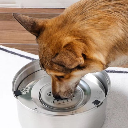 gamelle pour chien