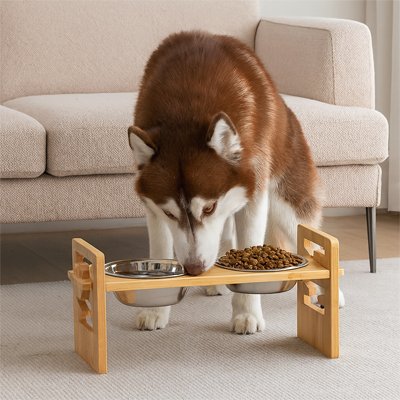 Gamelle pour chien surélevée