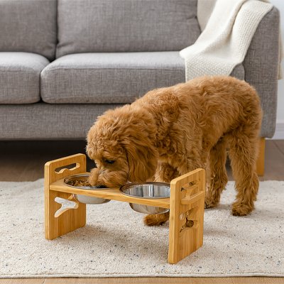 Gamelle pour chien surélevée