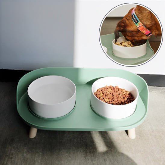gamelle pour chien