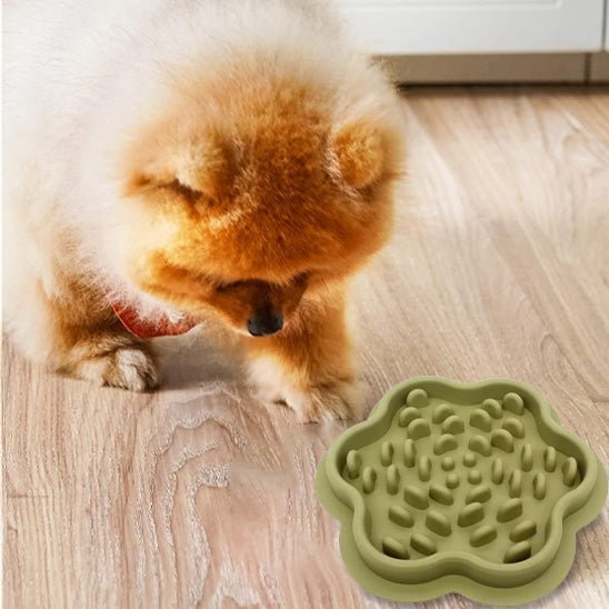 gamelle pour chien