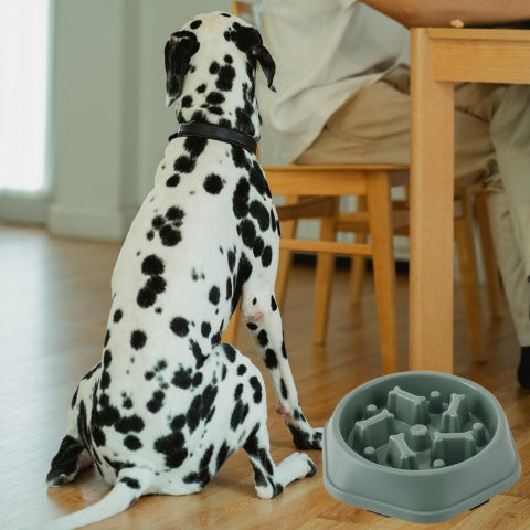 gamelle-pour-chien